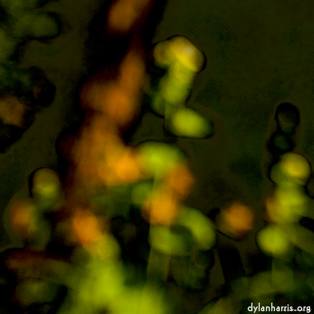 image: This is &lsquo;park (xxvi) 1&rsquo;.