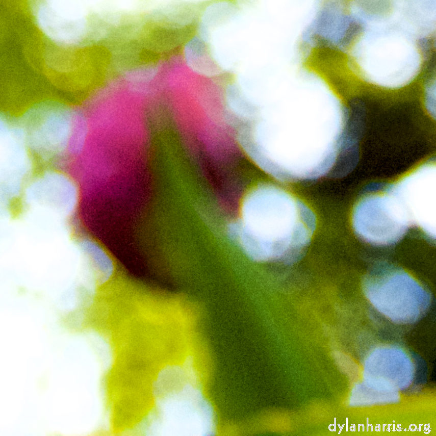 Image: Image 'parc (xxvi) 2'.