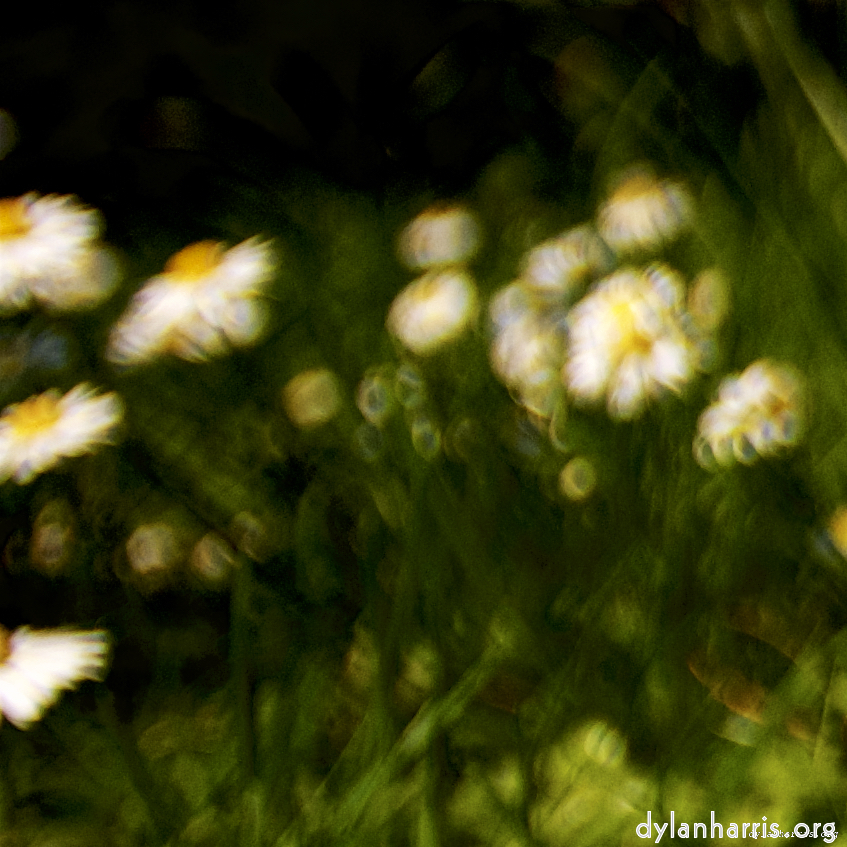 Image: Image 'parc (xxvi) 3'.