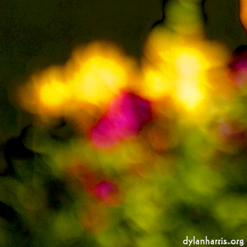 Image: Image 'parc (xxvi) 5'.