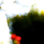 Image: Fourth image from the photoset 'parc (xxvi)'.