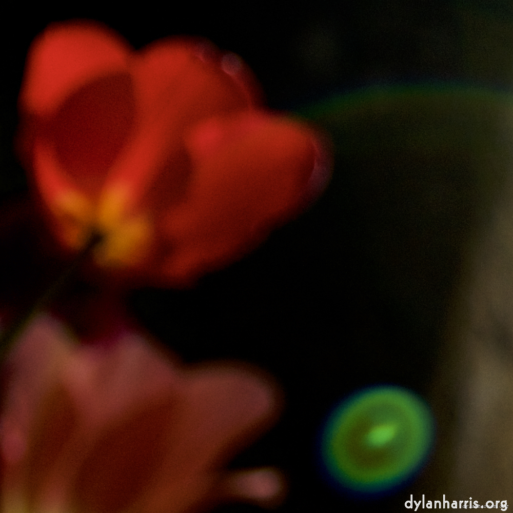 Image: Image 'parc (xxvii) 1'.