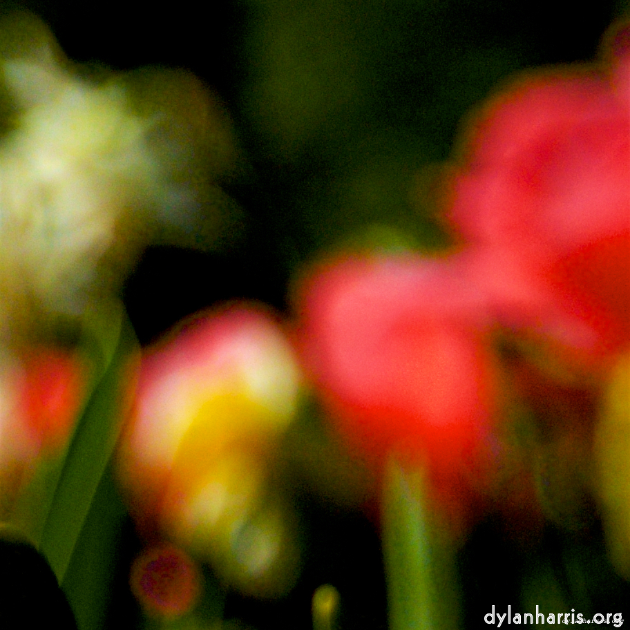 Image: Image 'parc (xxviii) 5'.