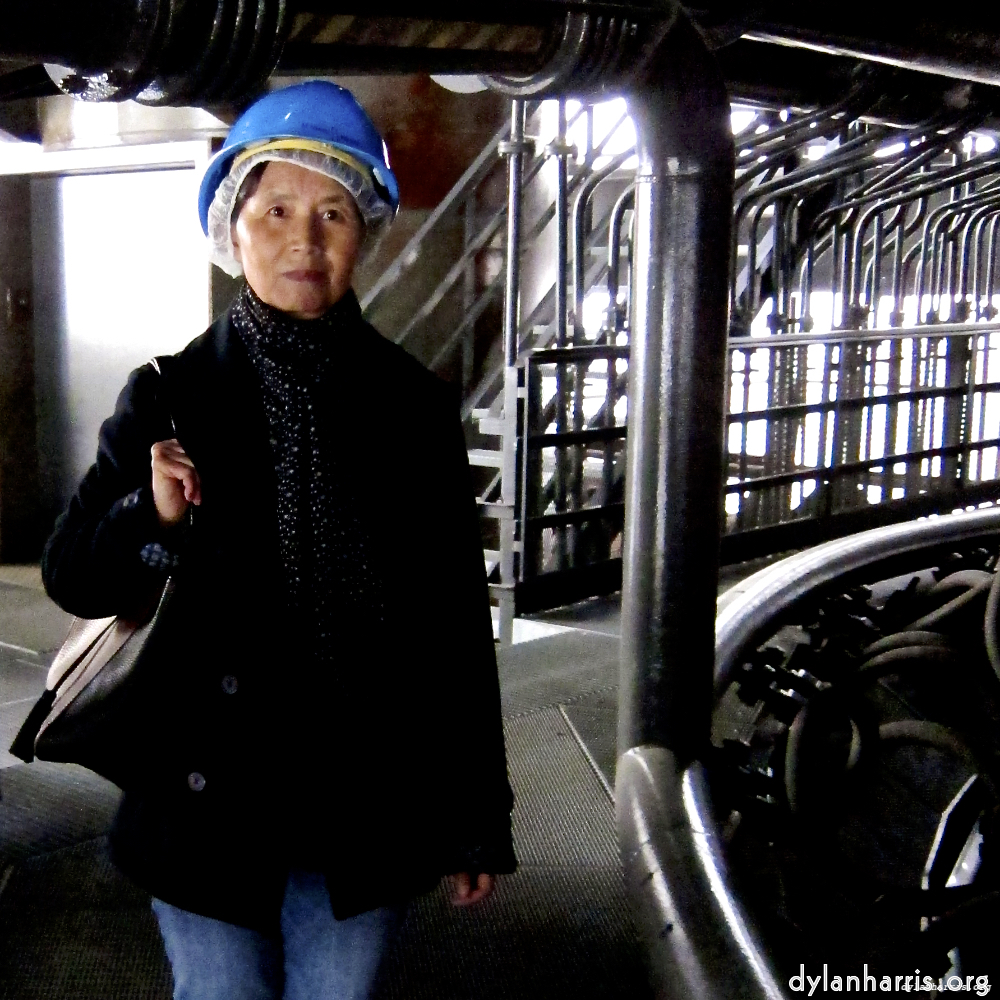 Image 'lana (iv) 3'.