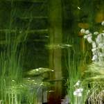 Second image from the photoset 'haut fourneau (iii)'.