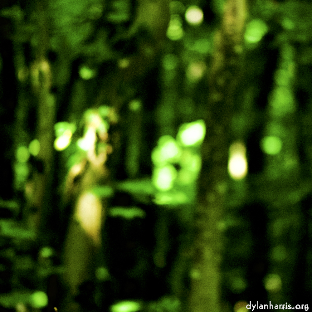 Image: Image 'wood (xxxi) 1'