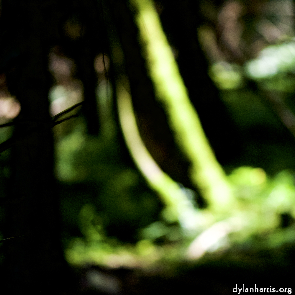 image: This is &lsquo;wood (xxxi) 7&rsquo;.