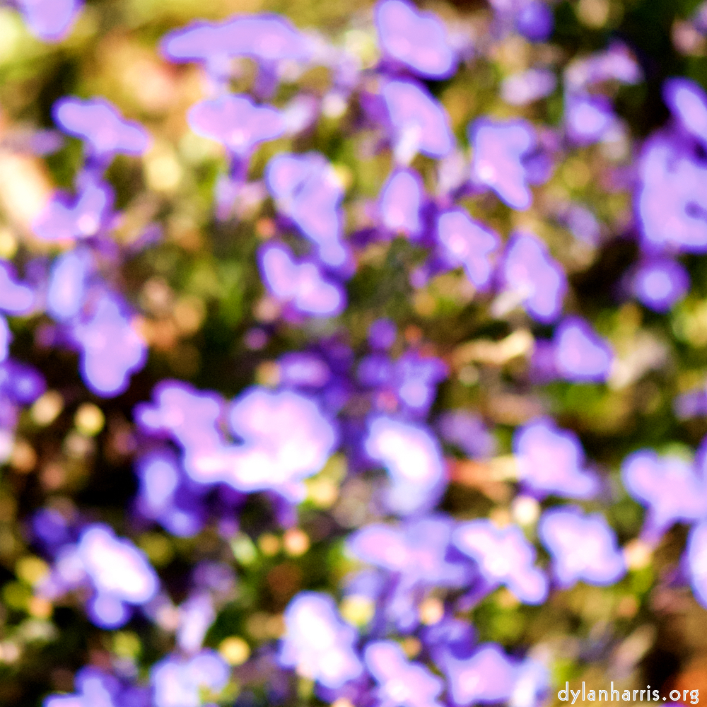 image: This is &lsquo;parc (xxxviii) 1&rsquo;.