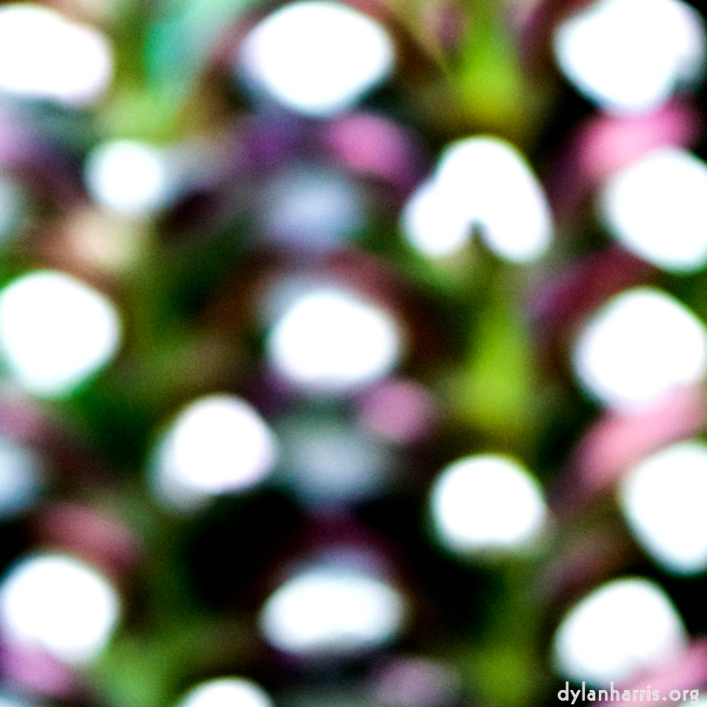 image: This is &lsquo;parc (xxxviii) 2&rsquo;.