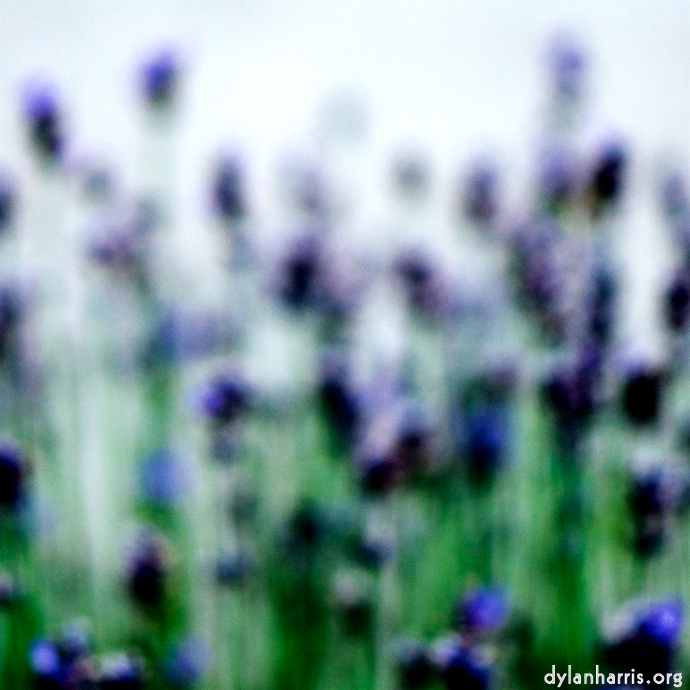 image: This is &lsquo;parc (xxxviii) 3&rsquo;.