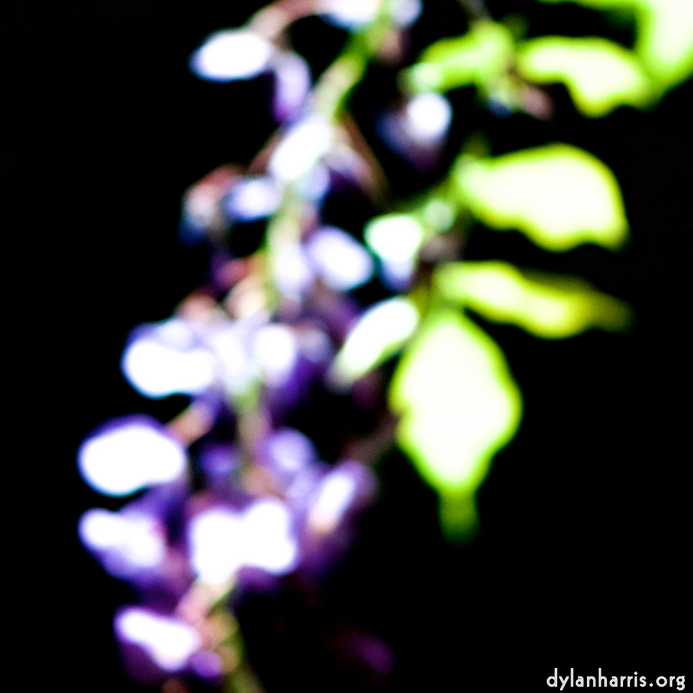 image: This is &lsquo;parc (xxxviii) 4&rsquo;.