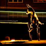 Fourth image from the photoset 'gouda (i)'.