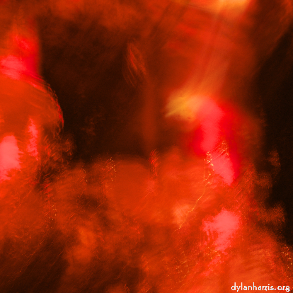 Image 'gouda (ii) 4'.