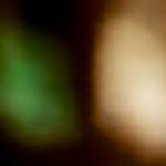 First image from the photoset 'gouda (ii)'.