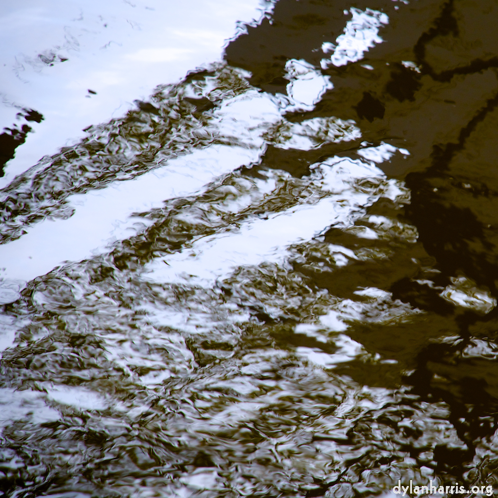 Image: Image 'gouda (iii) 4'.