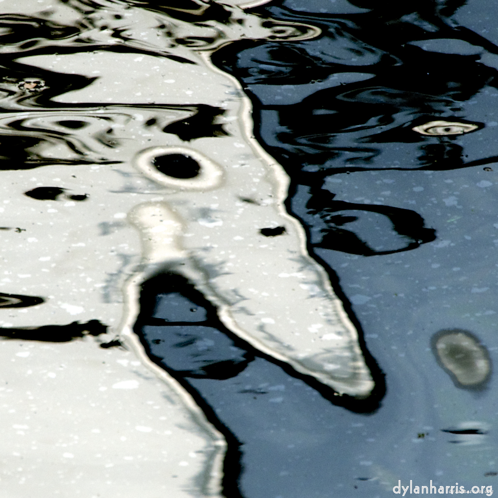 Image: Image 'gouda (iii) 5'.