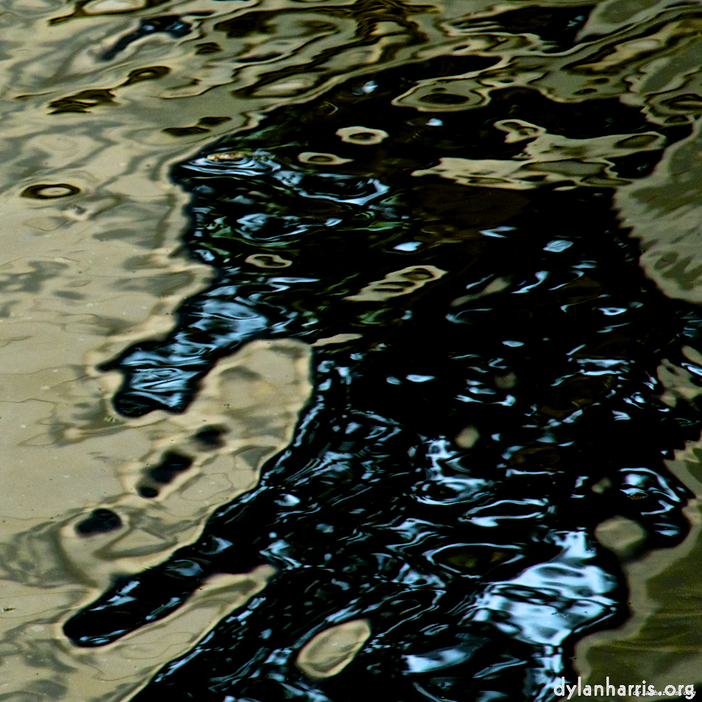 Image 'gouda (iii) 6'.