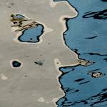 Second image from the photoset 'gouda (iii)'.