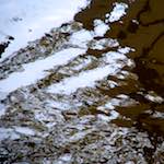 Fourth image from the photoset 'gouda (iii)'.