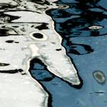 Fifth image from the photoset 'gouda (iii)'.