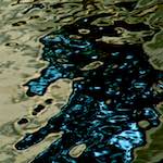 Sixth image from the photoset 'gouda (iii)'.