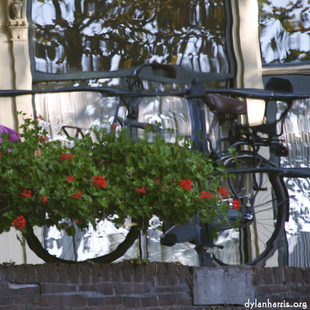 Image 'gouda (iv) 2'.