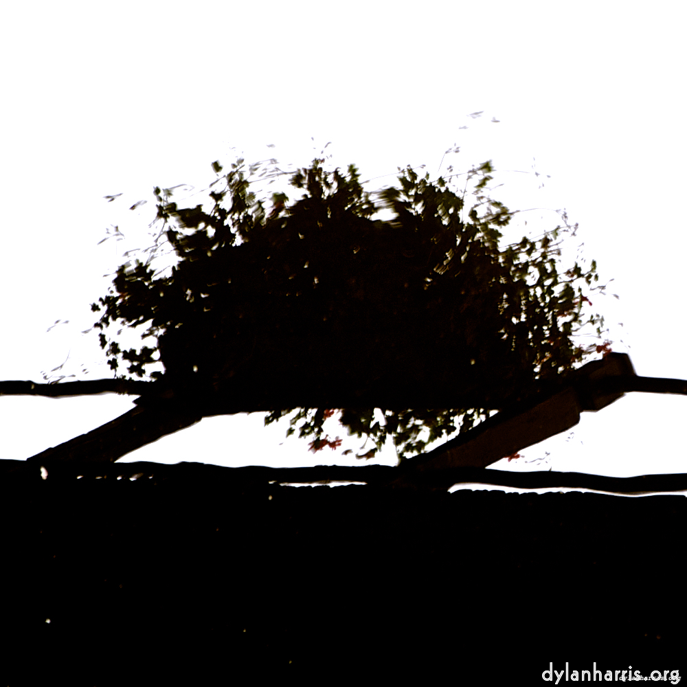 Image: Image 'gouda (iv) 4'.