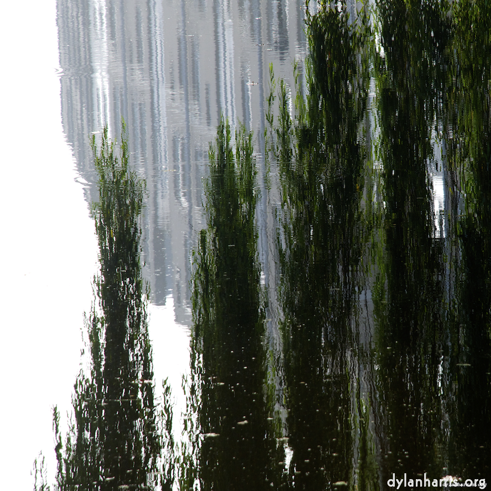 Image: Image 'gouda (iv) 5'.