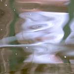 Third image from the photoset 'gouda (iv)'.