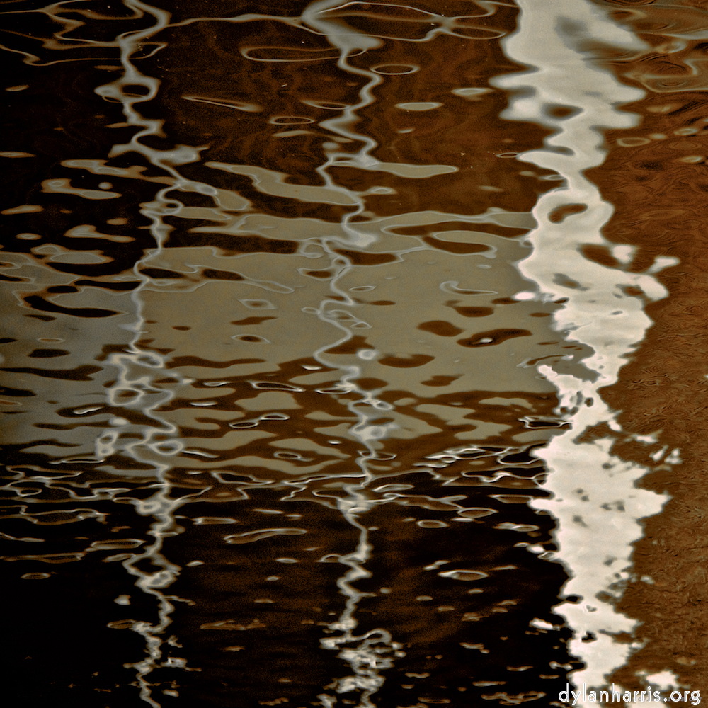 Image 'gouda (v) 2'.