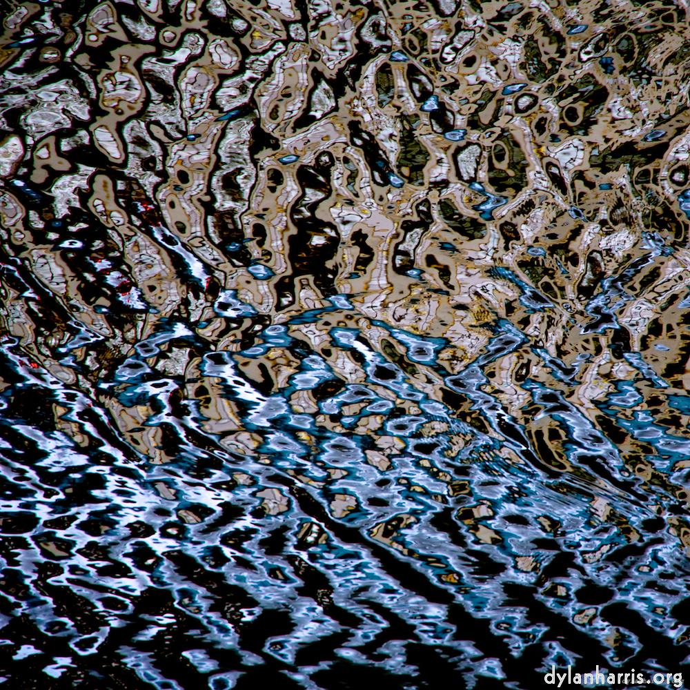 Image 'gouda (v) 4'.