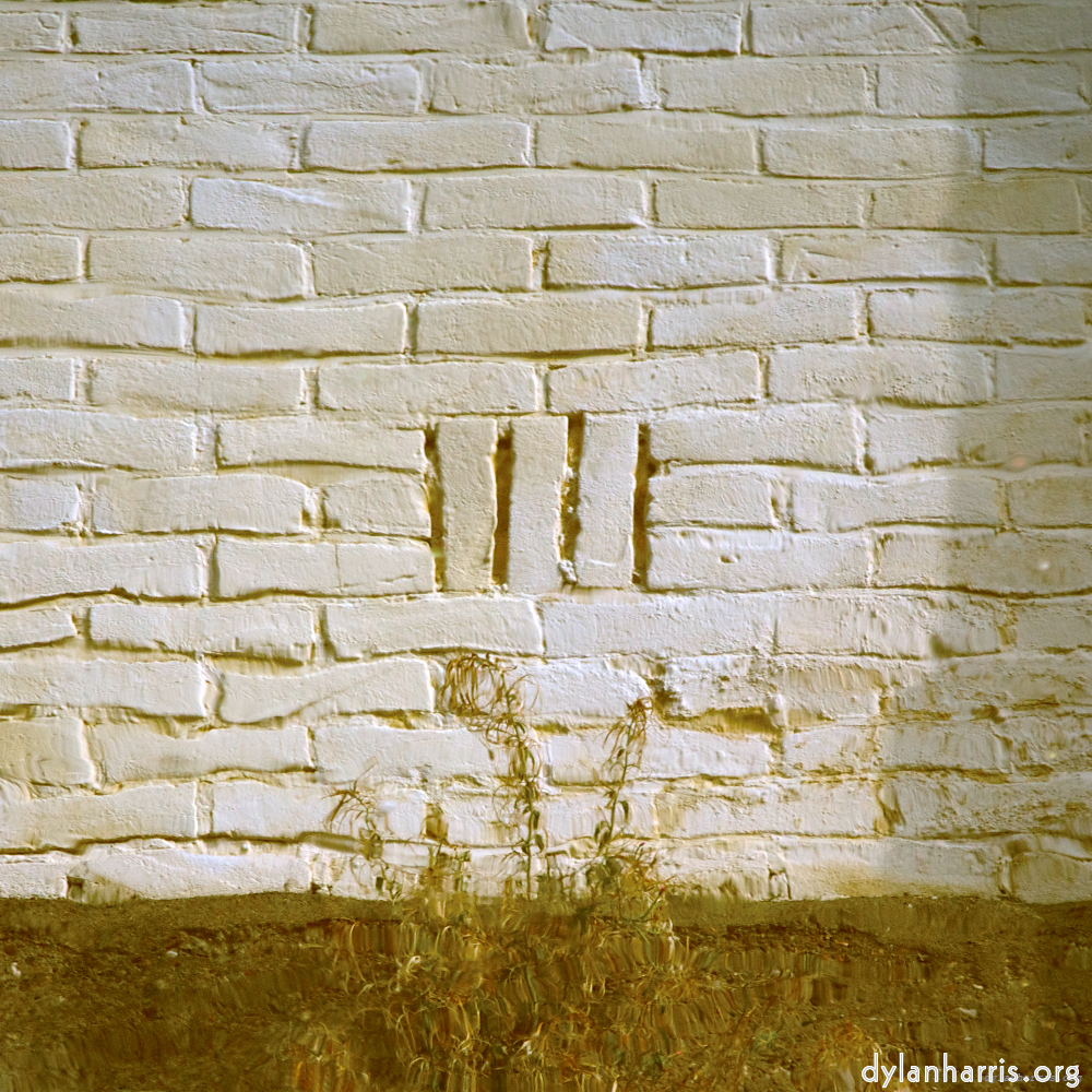 Image 'gouda (v) 5'.