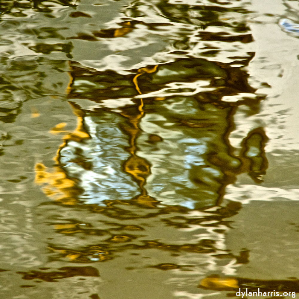 Image 'gouda (v) 6'.