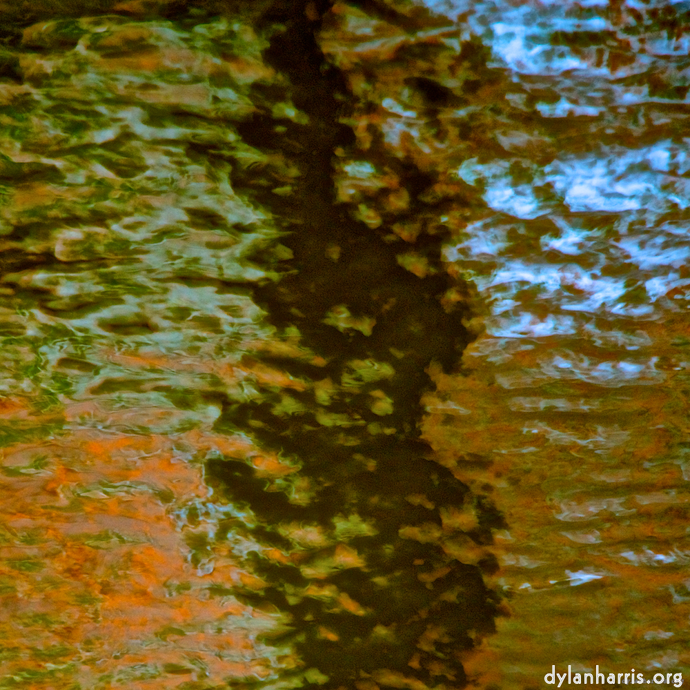 Image: Image 'gouda (v) 7'.