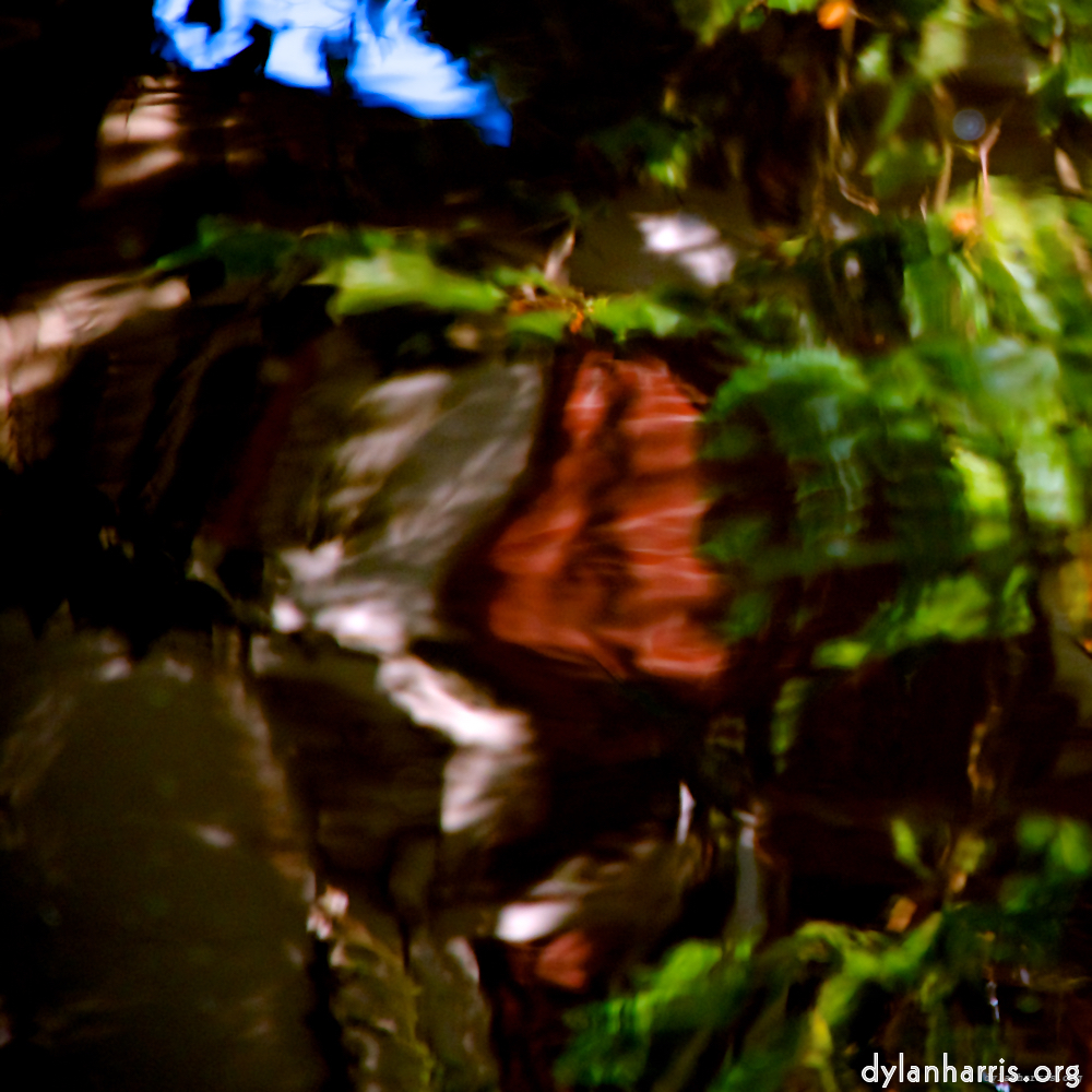 Image 'gouda (v) 9'.