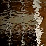 Second image from the photoset 'gouda (v)'.