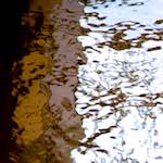 Third image from the photoset 'gouda (v)'.