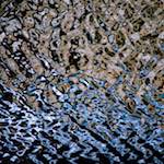 Fourth image from the photoset 'gouda (v)'.