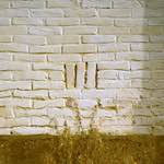 Fifth image from the photoset 'gouda (v)'.