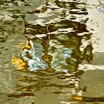 Sixth image from the photoset 'gouda (v)'.