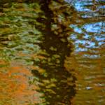 Seventh image from the photoset 'gouda (v)'.