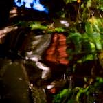 Ninth image from the photoset 'gouda (v)'.