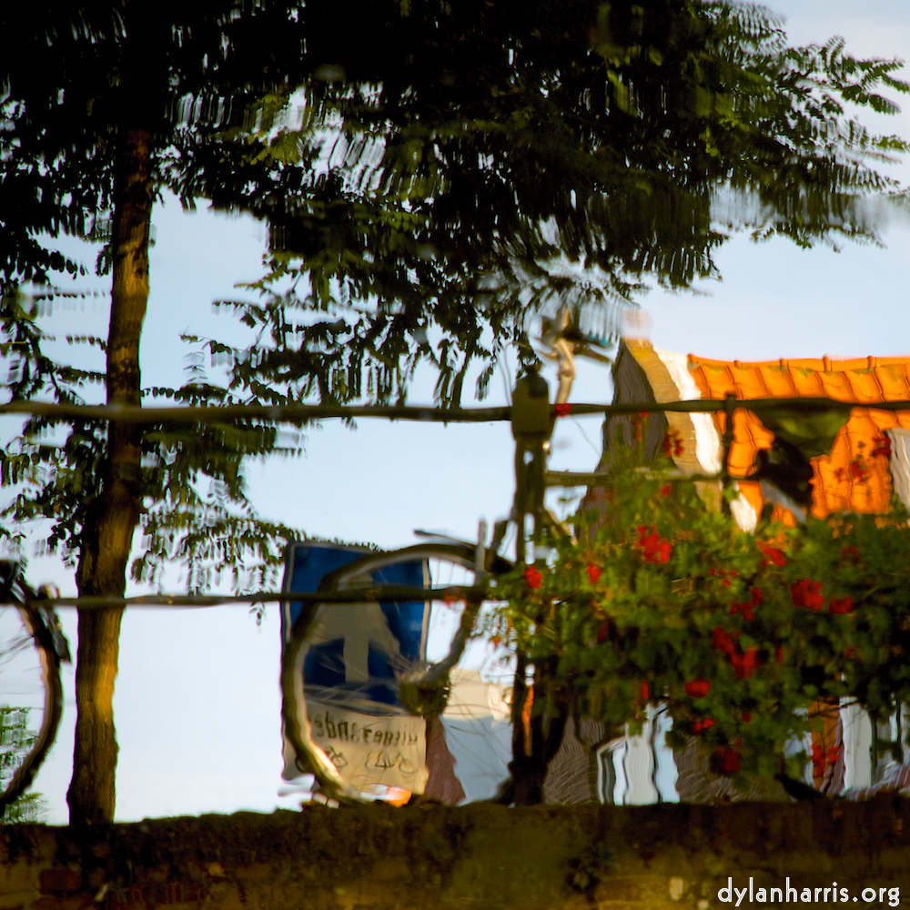 Image 'gouda (vi) 4'.