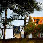 Fourth image from the photoset 'gouda (vi)'.