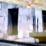 Fifth image from the photoset 'gouda (vi)'.