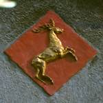 Sixth image from the photoset 'gouda (vi)'.