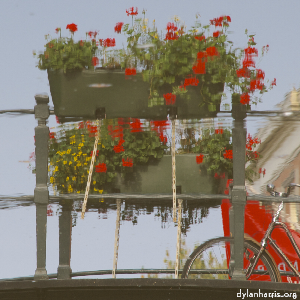 Image 'gouda (vii) 3'.