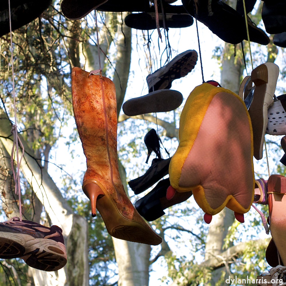 Image: Image 'parc (vii) 7'.