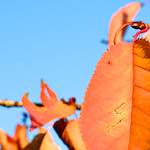 First image from the photoset 'parc (vii)'.