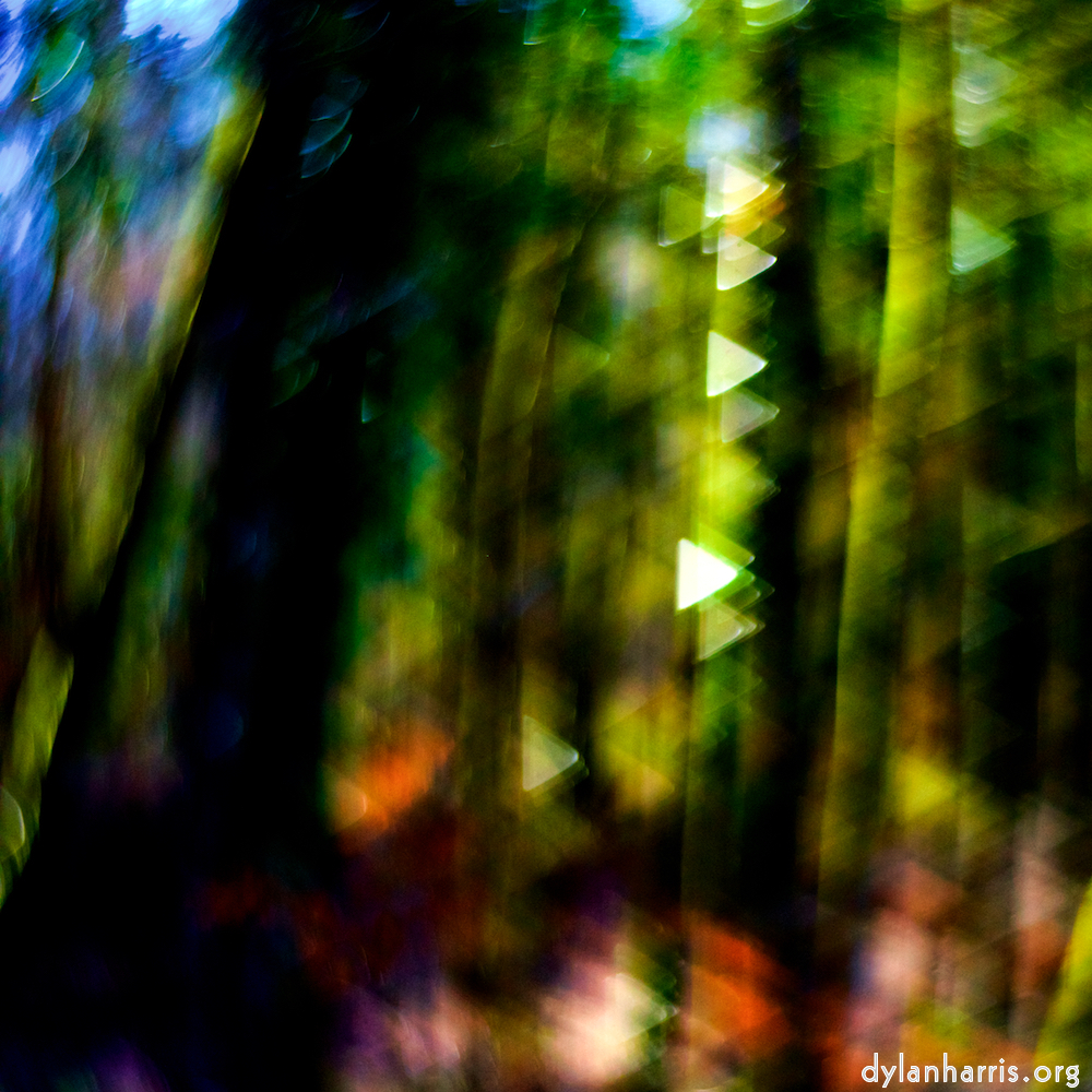 image: This is &lsquo;wood (xxxiv) 5&rsquo;.